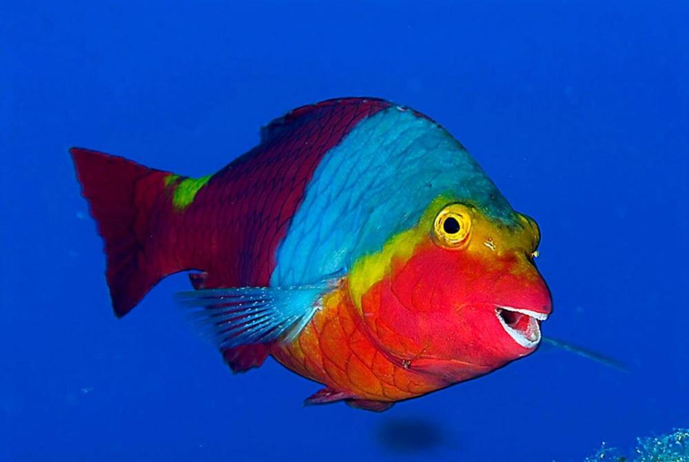 Acquario Dei Fralle Oristano Buitenkant foto